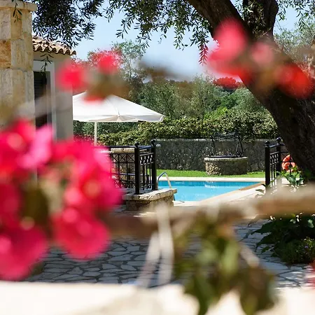 Tesori * Dassia (Corfu)